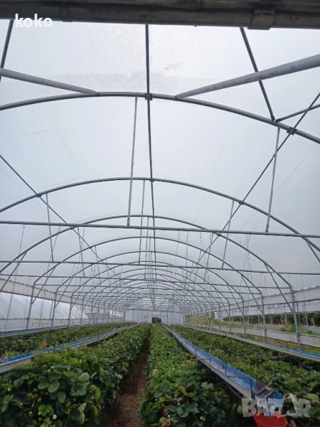 Оранжерии Хидропоника, снимка 1