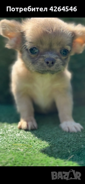 Уникално момче , снимка 1