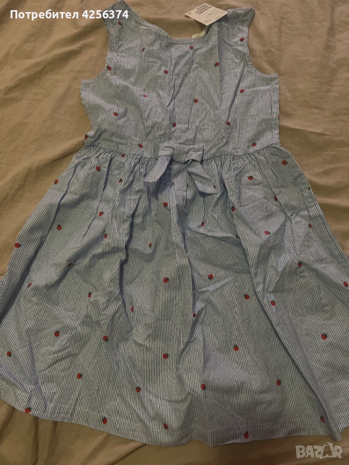 Синя рокля на ягоди, снимка 1