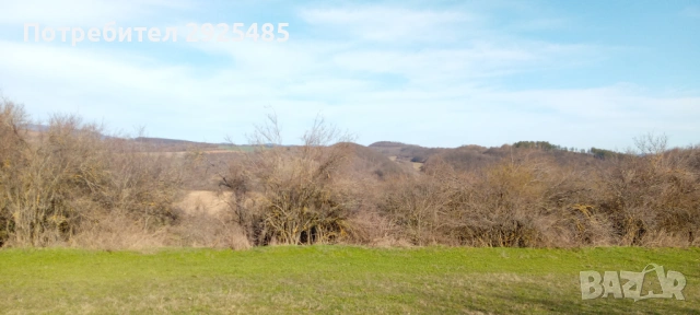 Урегулиран поземлен имот – 1380 кв.м. в с. Конево, общ. Върбица, снимка 7 - Парцели - 53710789