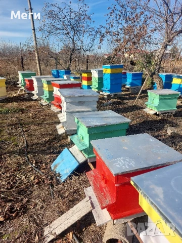 Продавам домашен пчелен мед.Собствено произвдоство.Гарантирано качество.Без добавки., снимка 6 - Пчелни продукти - 39311531