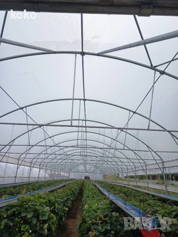 Оранжерии Хидропоника, снимка 1