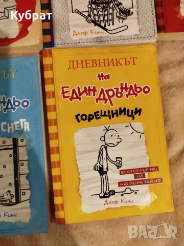 дневникът на един Дръндьо , снимка 4 - Детски книжки - 48577648