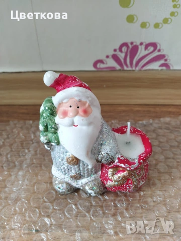 стайни растения +отстъпка и подарък, снимка 4 - Стайни растения - 53654474