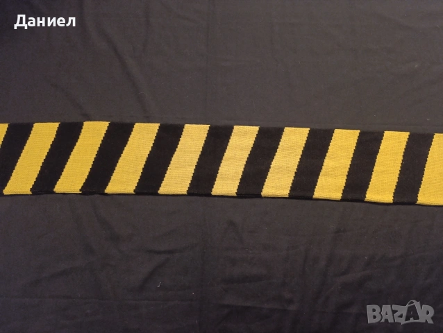 Зебра на Борусия Дортмунд , снимка 3 - Футбол - 53683479