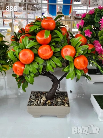 бонзай дръвчета декорация , снимка 2 - Декорация за дома - 47066976