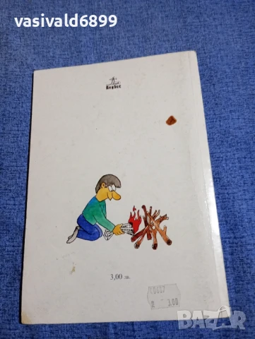 Български език за 11 клас , снимка 3 - Учебници, учебни тетрадки - 50823608