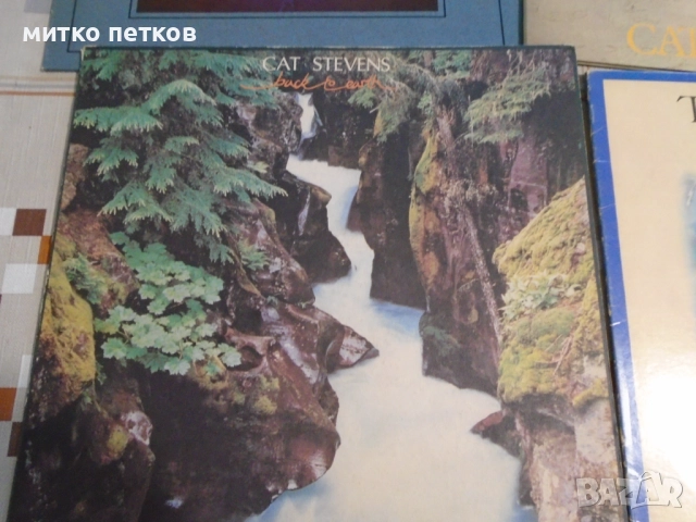 плочи Cat Stevens, снимка 4 - Грамофонни плочи - 52469439