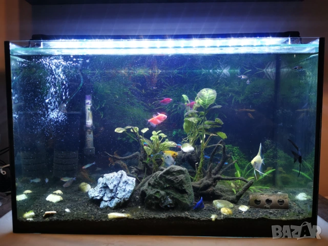 Аквариум 60 л