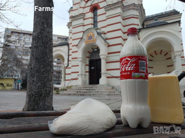 Домашно зряло сирене и кашкавал , февруарска коприва, добруджанско тесто, снимка 2 - Домашни продукти - 53491099