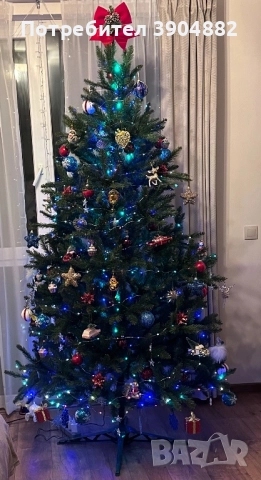 Коледна елха Див смърч 220см, снимка 3 - Други стоки за дома - 52450325