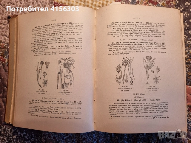 Флора на България., снимка 5 - Други - 53635906