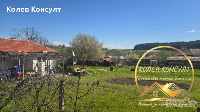 Едноетажна къща в село Бял извор, община Опан, снимка 4 - Къщи - 54189882