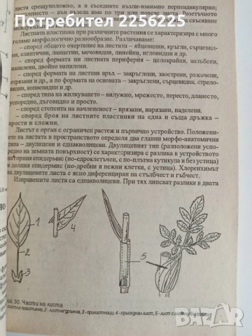 Ръководство за практически занятия по ботаника с екология, снимка 2 - Специализирана литература - 52170323