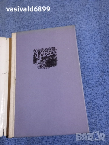 Хана Ожоговска - Дупка в морето , снимка 4 - Художествена литература - 52915027