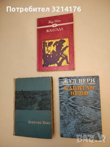 Жангада. 800 левги по Амазонка - Жул Верн