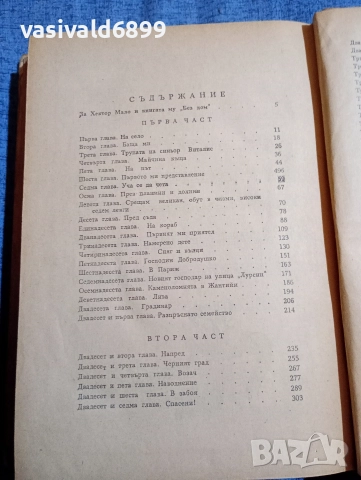 Хектор Мало - Без дом , снимка 5 - Художествена литература - 52622613