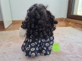 Порцеланови кукли Kim-Puppe, снимка 8