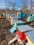 Продавам домашен пчелен мед.Собствено произвдоство.Гарантирано качество.Без добавки., снимка 6