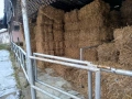 бали слама ечемичена, снимка 3