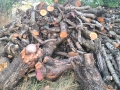 Дърва за огрев, снимка 1