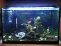 Аквариум 60 л, снимка 1