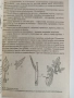 Ръководство за практически занятия по ботаника с екология, снимка 2