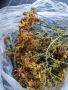 Продавам Жълт кантарион -  изсушена билка за чай, снимка 3