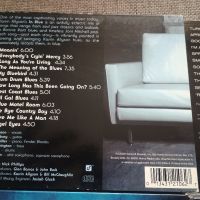 Аудиофилски певици внос от САЩ първи издания, снимка 8 - CD дискове - 45417851