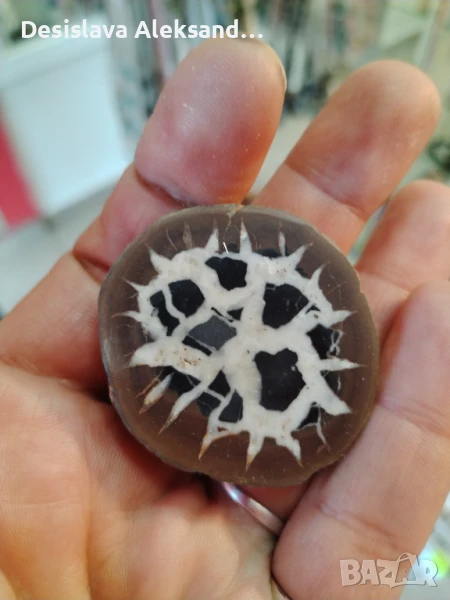 Септария от Мароко , снимка 1