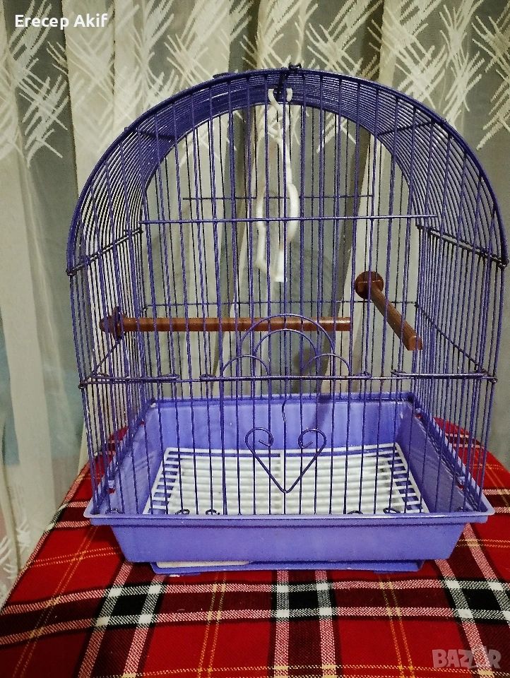 за папагали, снимка 1