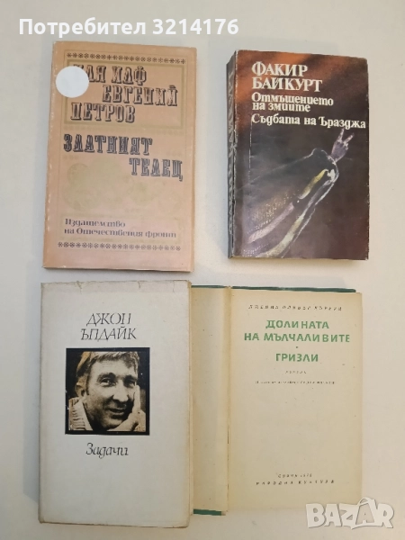 Задачи - Джон Ъпдайк, снимка 1