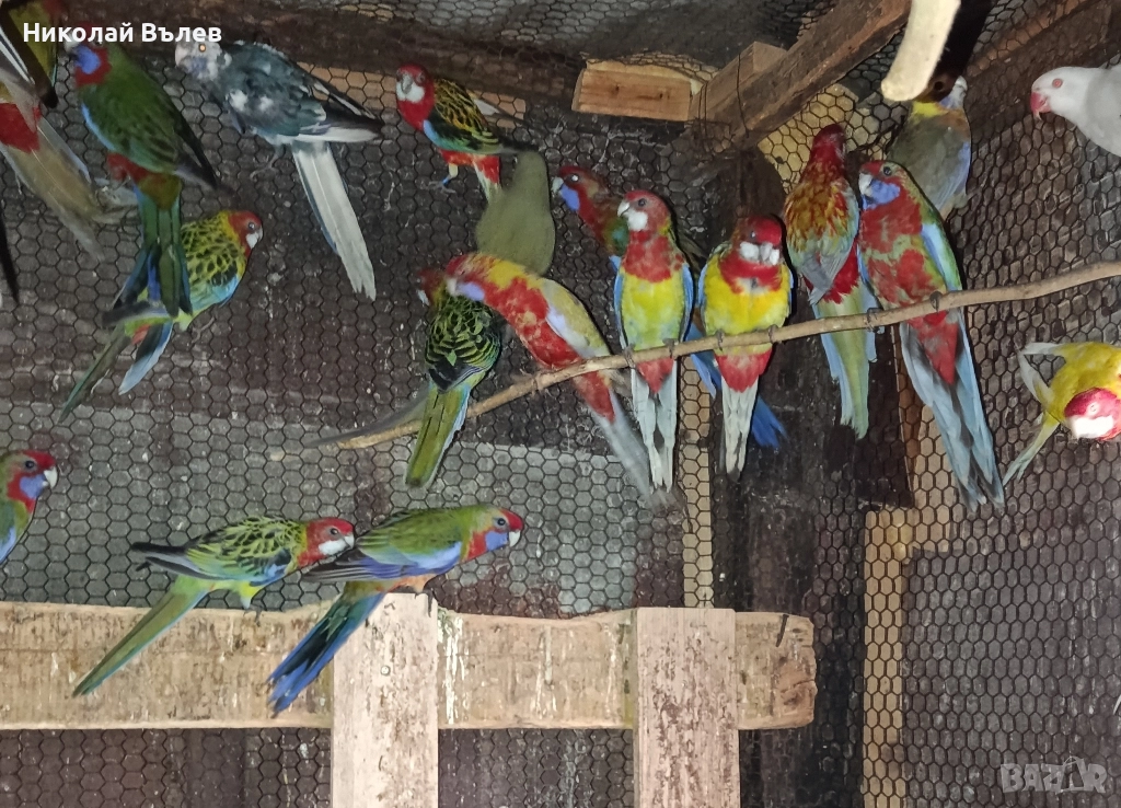 Пенанти , снимка 1