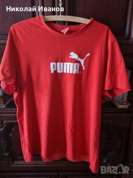 Puma, снимка 1