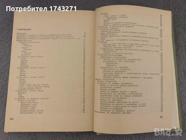 Практическо овощарство - Цочо Спасов, Вельо Цветков, снимка 2 - Специализирана литература - 48653666