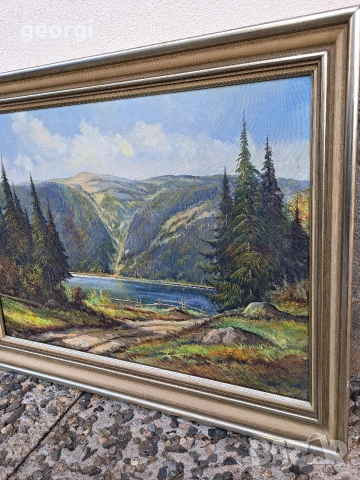 картина планински пейзаж маслени бои върху платно , снимка 2 - Картини - 53861518