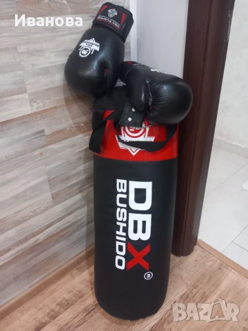 Боксова круша Нова