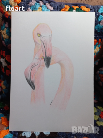 Влюбени фламинги - картина рисувана с моливи, снимка 2 - Картини - 44975793