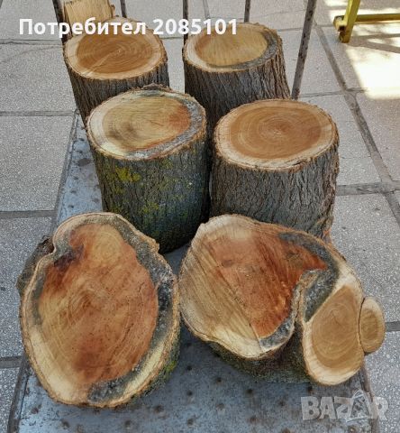 Черничево дърво пънчета, снимка 2 - Други стоки за дома - 45779700