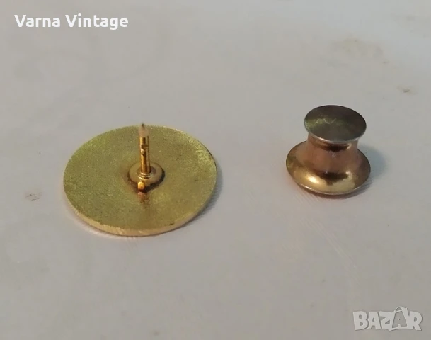 Значка на пожарникари-водолази "Vigili del Fuoco Sommozzatori" Италия., снимка 4 - Колекции - 51210772