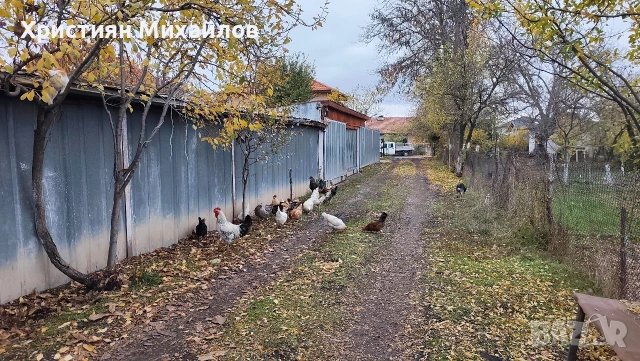 Продавам домашни яйца от свободни кокошки , снимка 3 - други­ - 54013532