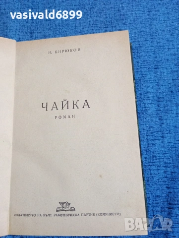 Бирюков - Чайка 