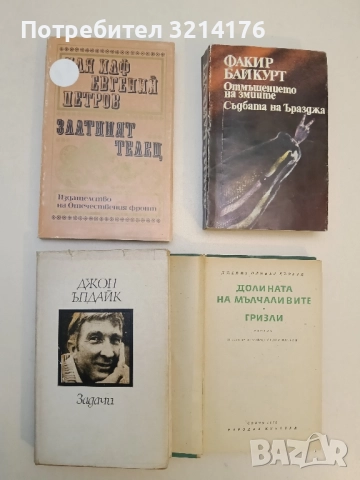 Задачи - Джон Ъпдайк