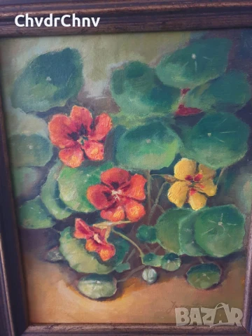 45х38см/малка картина масло върху платно/натюрморт цветя/латинки/1982/дървена рамка, снимка 2 - Картини - 51214989