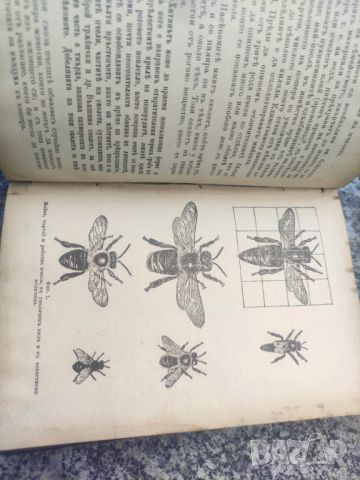 Продавам книга "Пчела и кошер" Л. Л. Лангстрот. От 1904, снимка 6 - Специализирана литература - 45607243