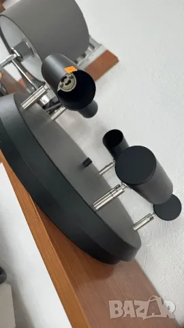 Полилей , снимка 5 - Полилеи - 49748726