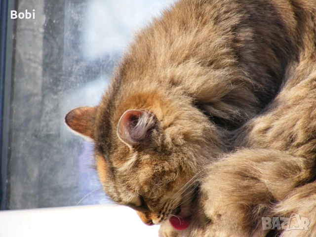 Fujifilm FinePix S5700, снимка 11 - Фотоапарати - 53655589