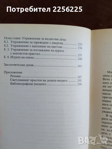 Децата на новото хилядолетие, снимка 5 - Художествена литература - 50844857