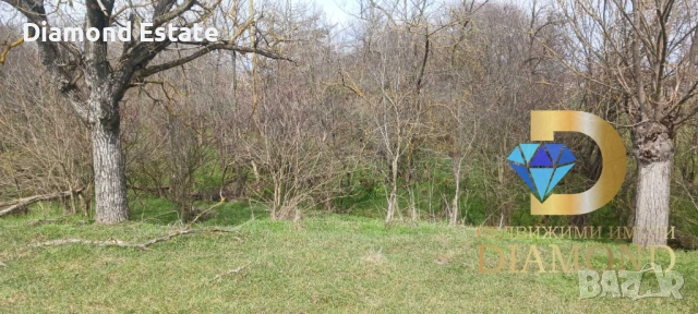 Къща в село Михайлово, обл. Стара Загора, снимка 18 - Къщи - 53683264