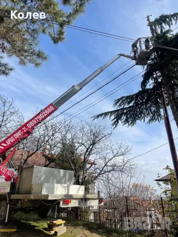 Услуги с автовишка под наем Пловдив , снимка 1 - Други услуги - 44842130